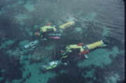 Task-Loaded Divers